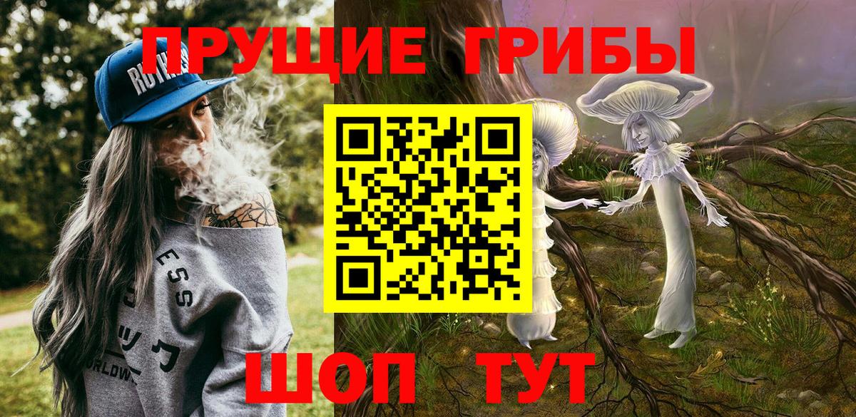 Владивосток  Галлюциногенные грибы Psilocybine cubensis  Вход с VPN 